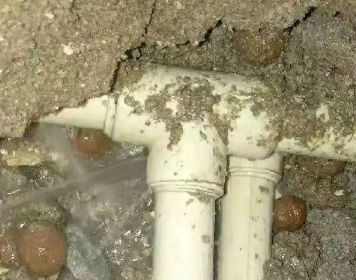 同安测漏水多少钱