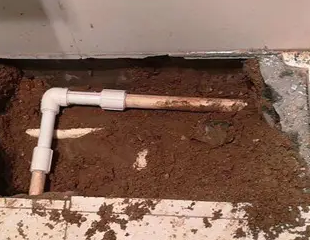 同安测漏水哪家好