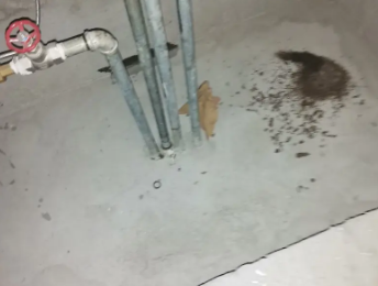 同安卫生间测漏水价格明细