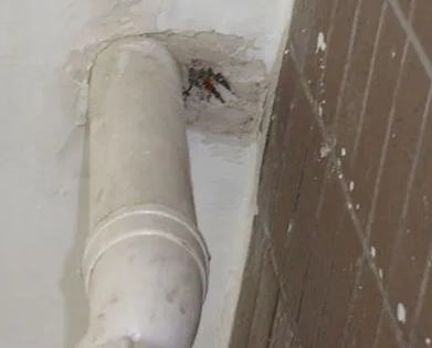 同安漏水检测哪家好